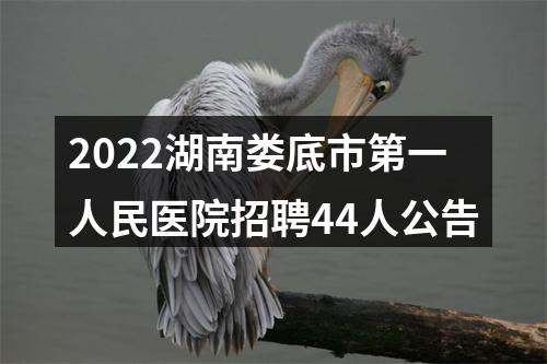 2022湖南娄底市第一人民医院招聘44人公告 图片
